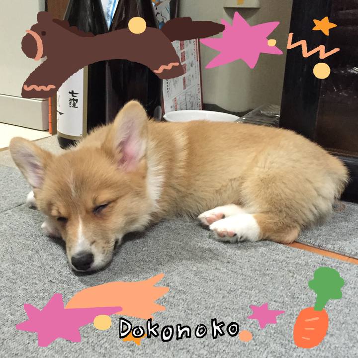 4b435a54 182f 4d11 aa63 7858d78486ba 1771983621943