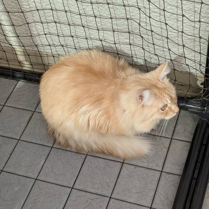 4b435e3b 72e0 4bd2 9dfc c879cf631011 1765076541761