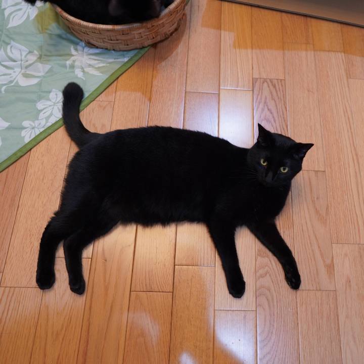 4b4384db 2f9b 4902 bbab 6e7fba56aa1a 1590067344671