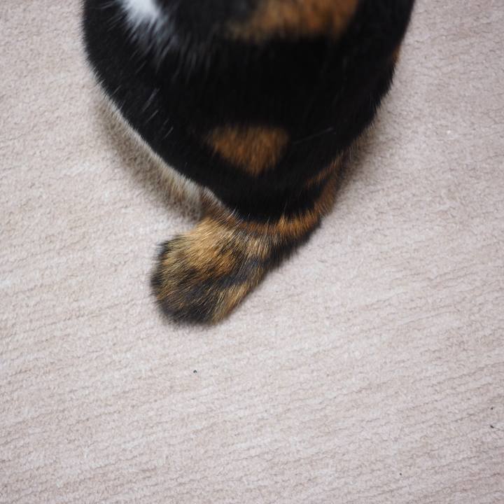 4b439fe5 fb10 4bfa a74d 0f4d7b2e438b 1518229993553