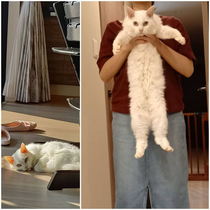 4b43b151 b45c 4645 b8a7 01e98d99dd9c 1634352303642