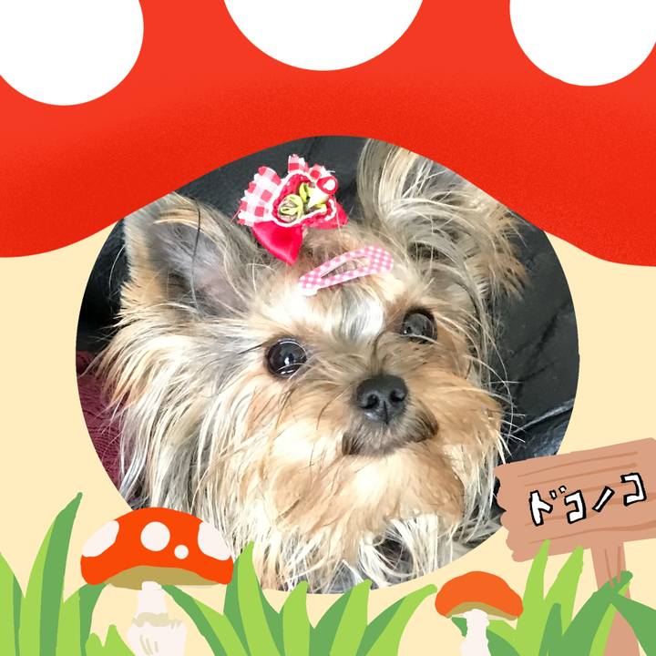 4b43cb38 f889 4277 8055 d6d04467bd11 1729258742712