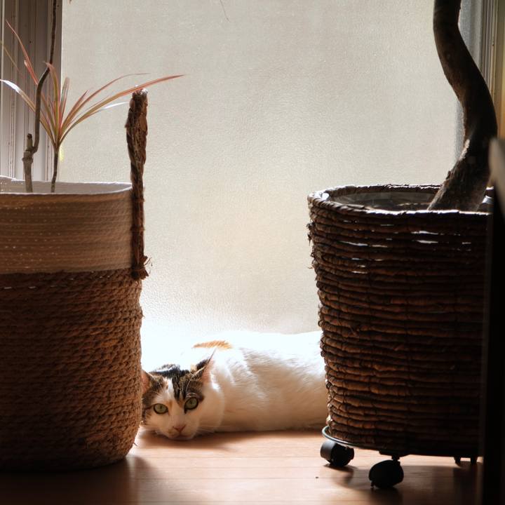 4b43e63e ea54 4dc5 a2ee 085a3b15b3f2 1677937998024