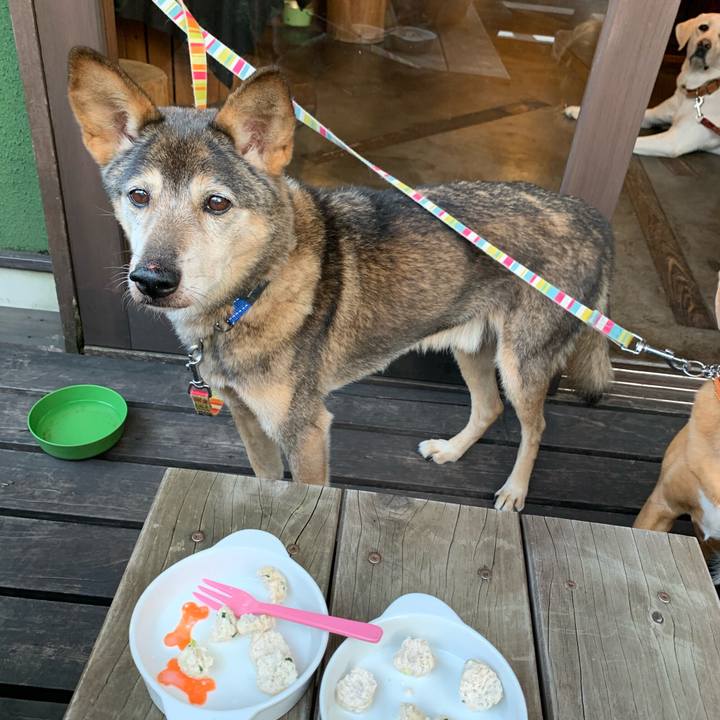 4b43f7d5 88b1 4431 bc1b 1ba67605c75b 1573282763441