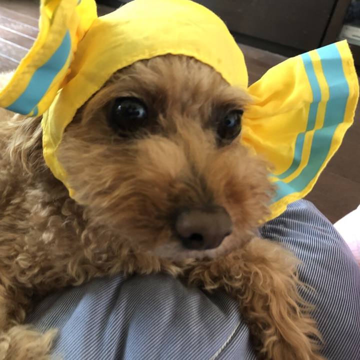 4b43fae1 7ada 4aed 8cea 0f251bb8d79d 1536570384499