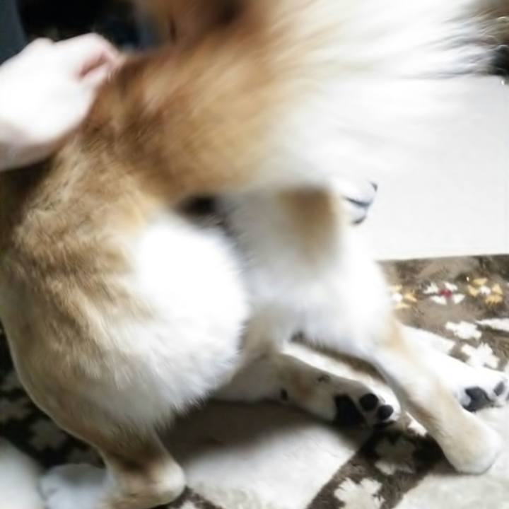 4b4401a7 90d5 4140 ae61 e11a27012d66 1523766378430