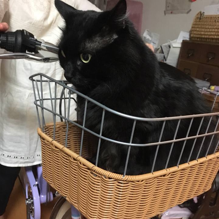 4b443094 5abc 4a0d 9913 ad406dbd86ce 1524138597929