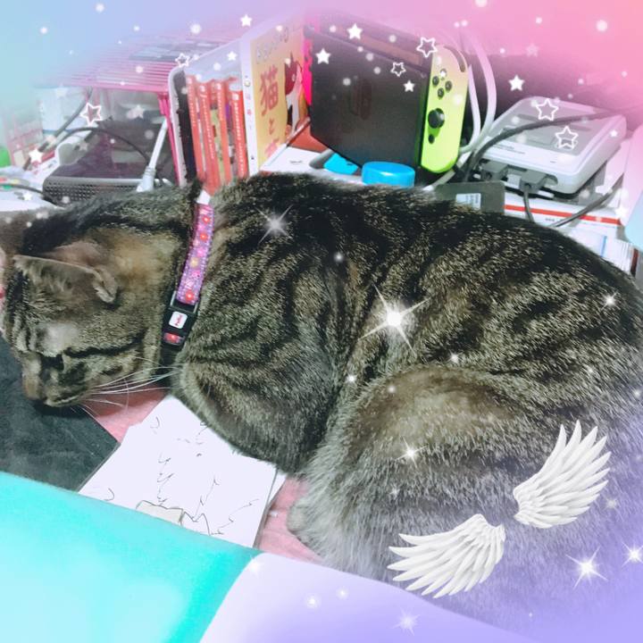 4b44435a 5662 4c4e b2fb 46f4bf84eef1 1560692392987