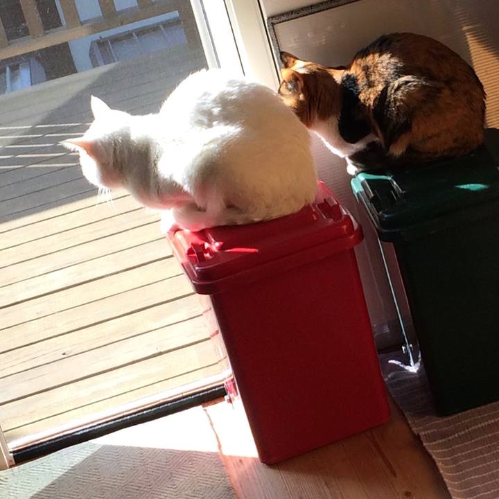 4b446599 39fe 4b48 9552 5002a85fc8c3 1585742380924