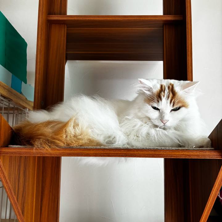 4b446f7b 7e0f 4348 8b38 15b1ee44c737 1773452097273