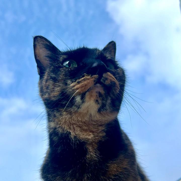 4b44dc85 332e 4fbf 8d74 8b9cf89d29c5 1776161443434