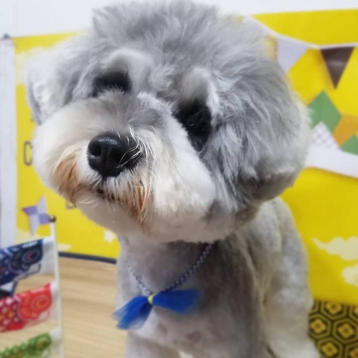 4b44f4c2 600e 4b9c 964f 3fd1cc78ba43 1620310038261