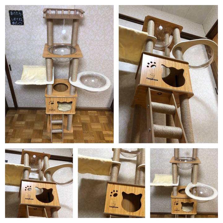 4b44fe60 775b 47ec 8779 7dc6a38b415e 1735978535732