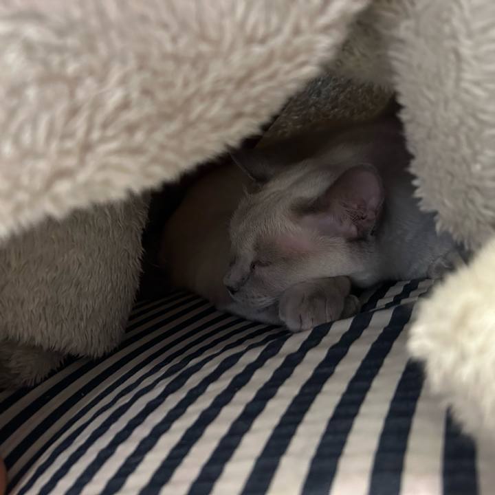 4b455a9f 6ae9 48be 9fe4 43aa4606e2c1 1738371355957