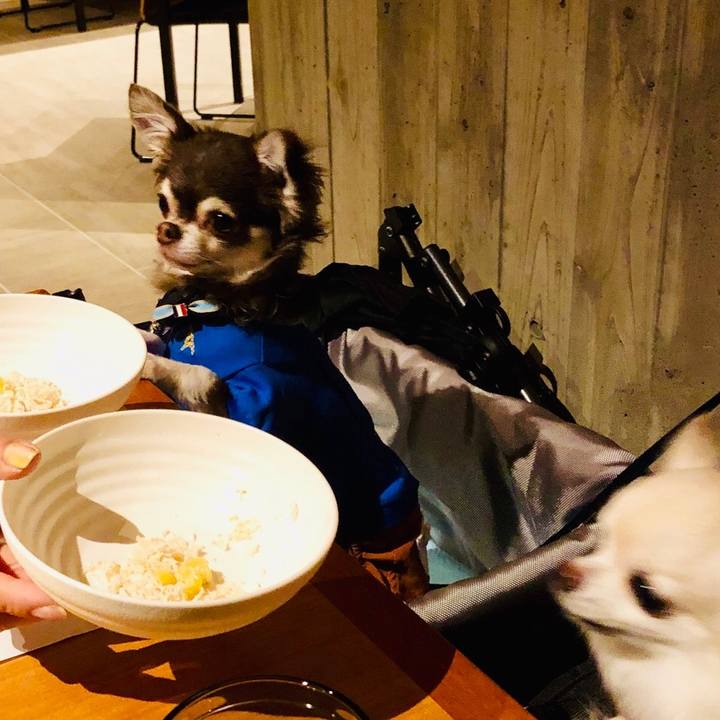 4b45b3e0 8396 4ae0 bc2a 191f72561c41 1553856081234