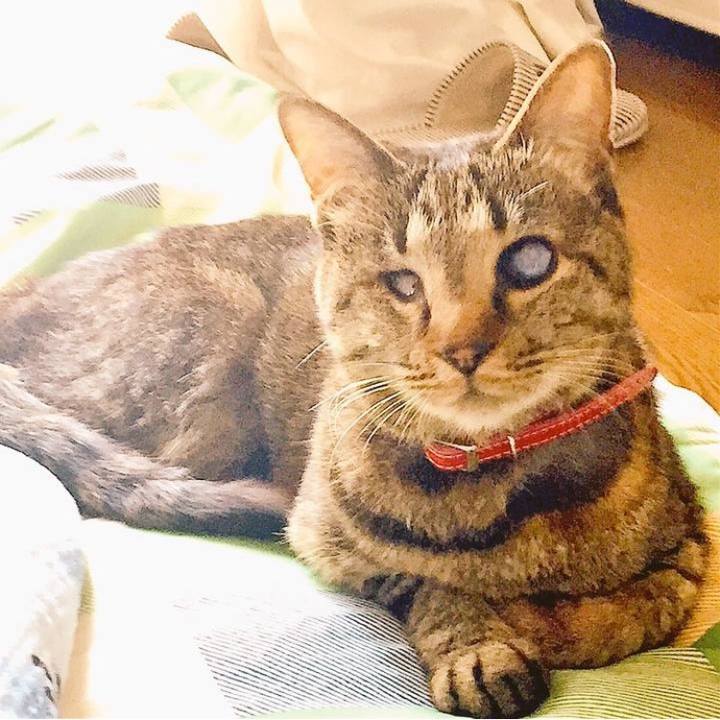 4b45ddd0 ba97 4725 8abc 8e1988a926e9 1752718146500