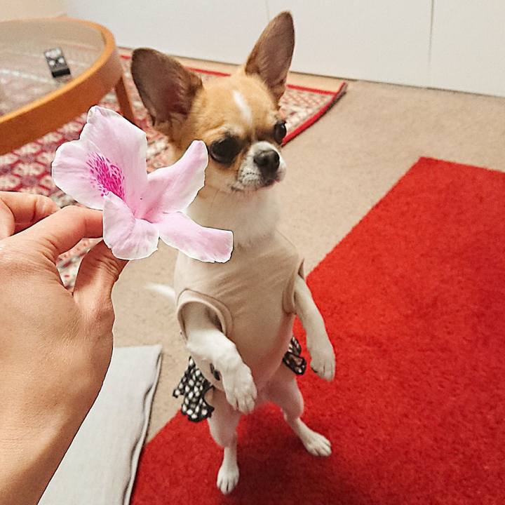 4b45e236 5cd9 4d8e 8aea 97d3dc998b12 1618625730517