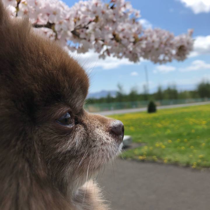 4b464437 646c 4d7e a3f3 ee90af858ff6 1588677895824