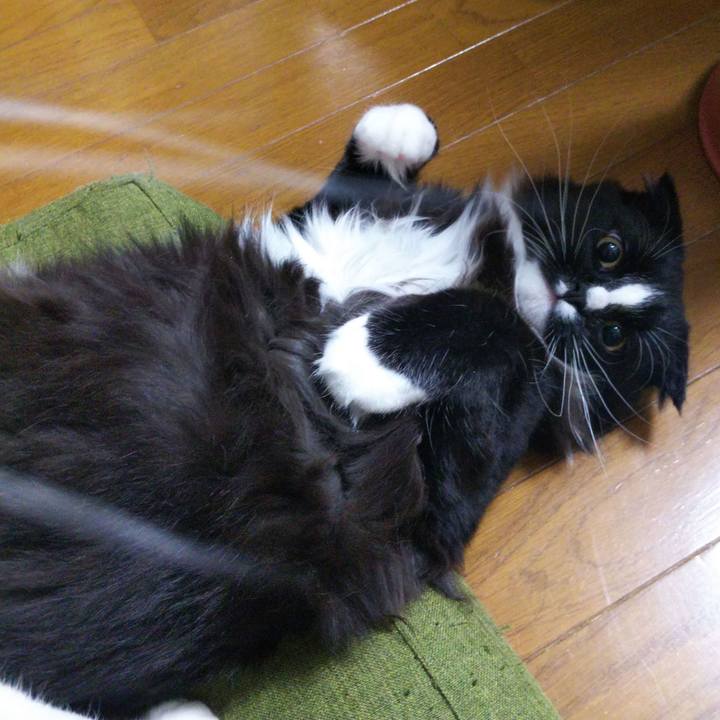 4b4644f0 01e0 495e 9aa1 924cc19497e5 1650404921314