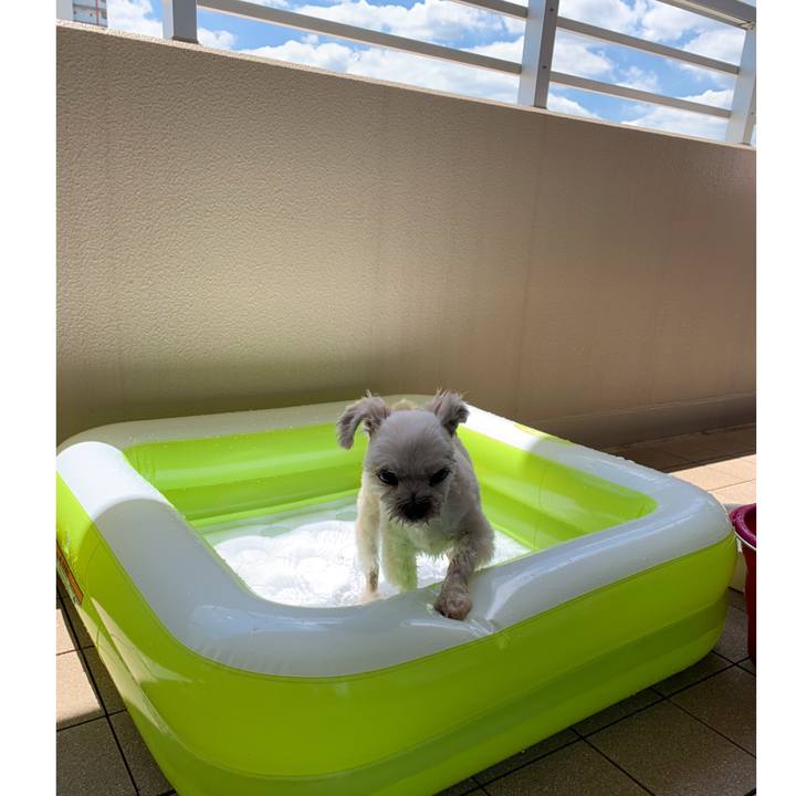 4b464b6c 29e7 4a16 950a 4d6baf452501 1564972758399