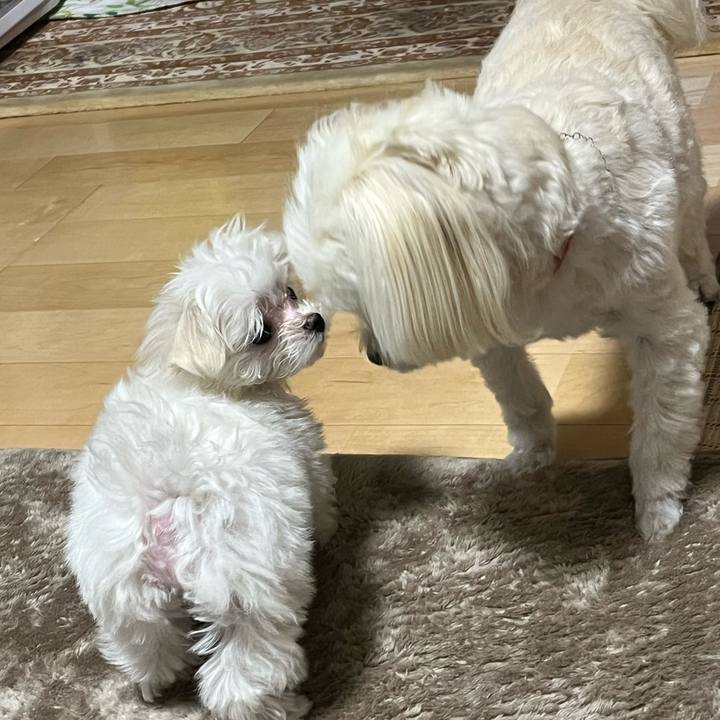 4b464e30 0c6b 44fd 9892 ea8eb432299c 1701247475126