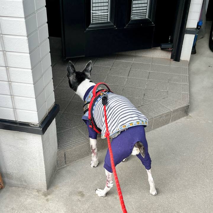 4b464ec5 766d 4287 bf2f 77e243f78ce7 1647782138136