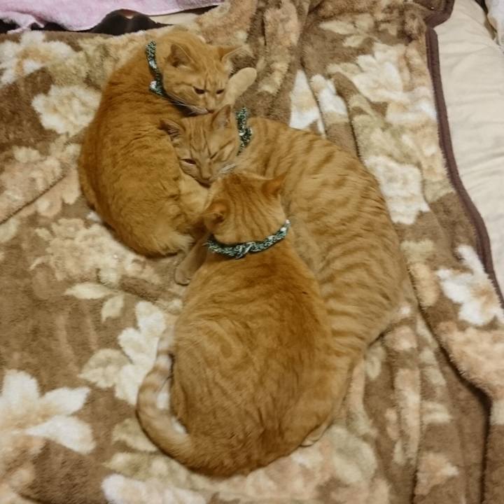 4b466dcd 1a89 4f89 b806 abbf6a7772b9 1580294946477