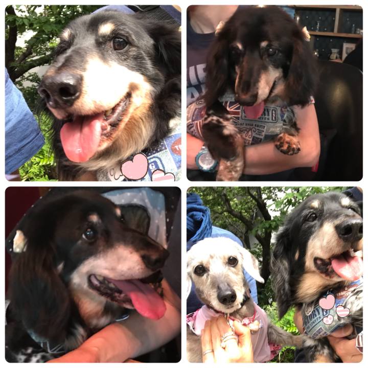 4b4692d1 7370 4338 a1cf 23a8298de3ac 1526466503969