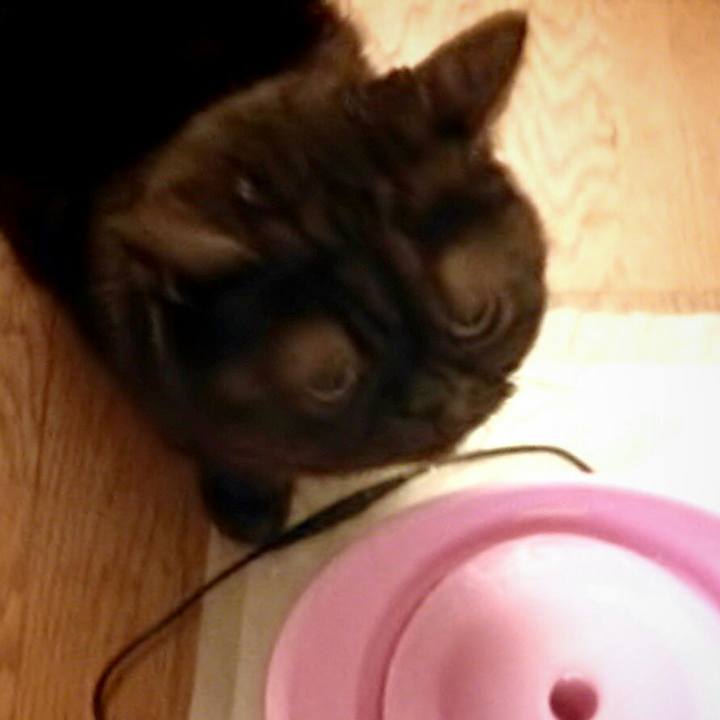 4b46ba78 d503 4086 b09d 0048f998fef8 1550991469234