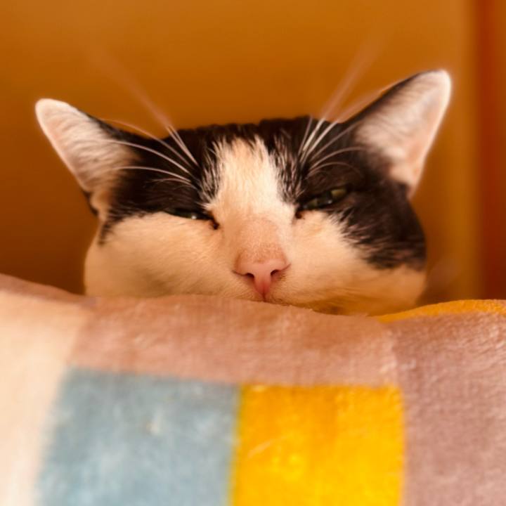 4b46c5a8 ab53 4f51 8e0d f915bdeca23d 1698888496401