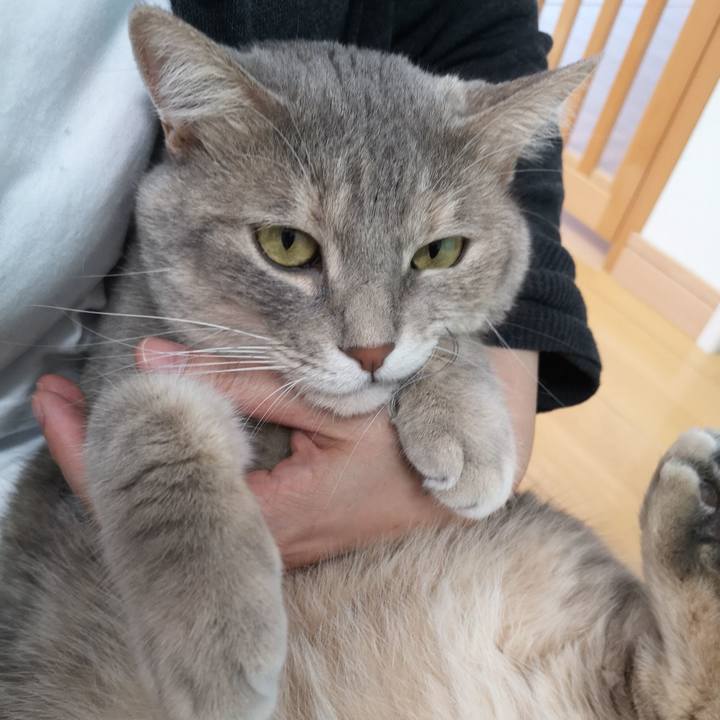 4b46c713 9579 4fa6 8fea acb75647fefe 1567758199994