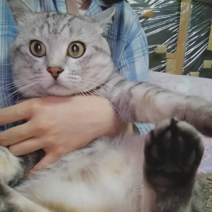 4b46e751 c910 4f79 bb2d 8b1e41d06caf 1595687862262