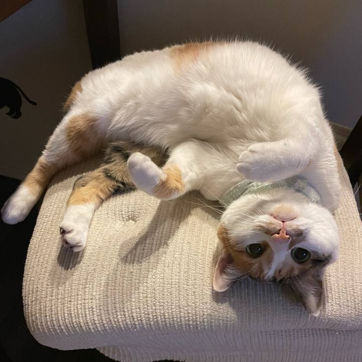 4b46e9e3 32be 4614 ab88 e616cb74001b 1675260069928