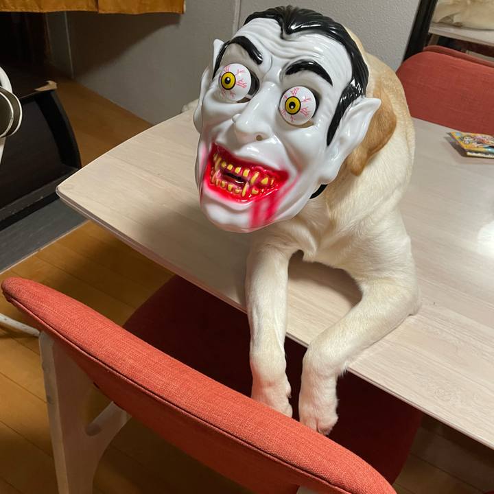 4b4714a5 39d2 4439 9b59 9186ae6fd961 1660922993351