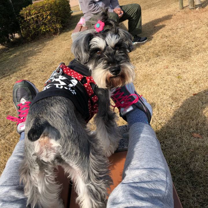 4b4723d5 23d5 4195 b20a 4f1a436d2aaa 1547905965485