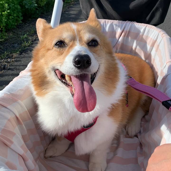 4b473de2 b193 4f27 99b7 e8a902e9831f 1722207526861