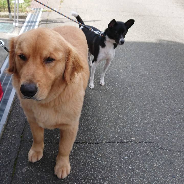 4b474da4 59fd 4863 90dc 3f84c06cce3d 1537938647827