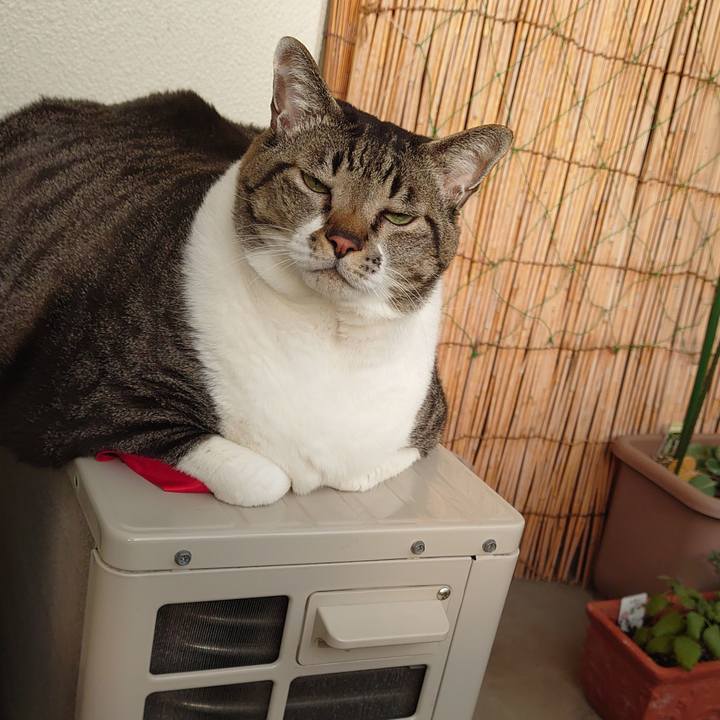 4b479847 0d3d 4b2c a317 e0450f6be113 1609036271780