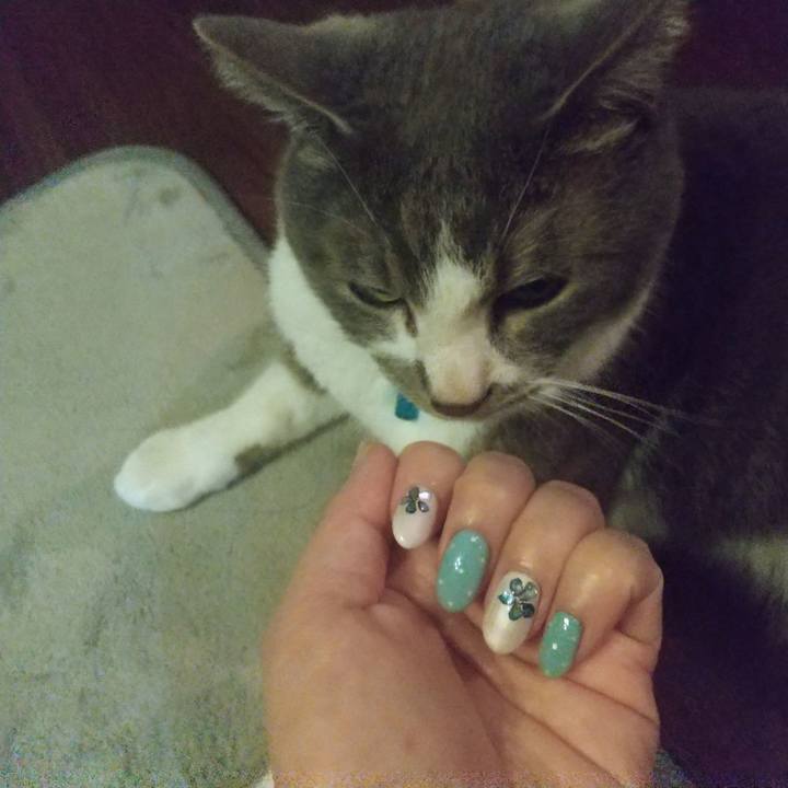 4b47a9b3 54bb 4342 81dc e8cd70e8f168 1649860307082