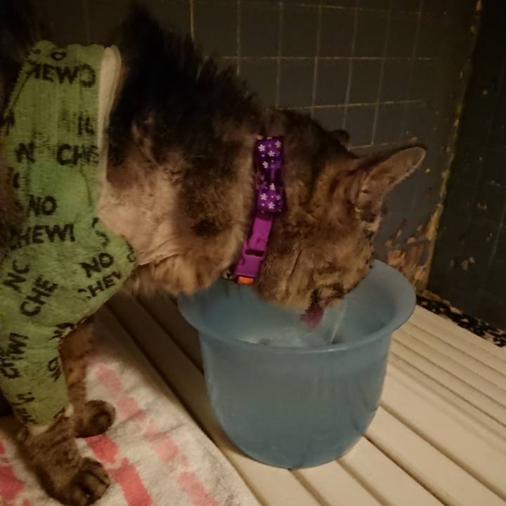 4b47b512 66e7 4f3b 853f f4f4d9c1578e 1587378947503