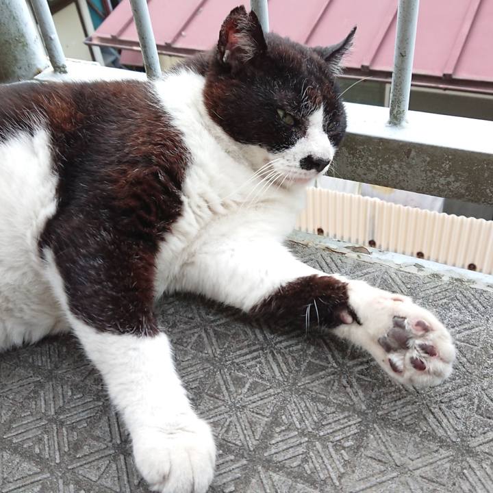 4b47c58e e8d2 42b1 a72e 1270d7929f94 1656752585625