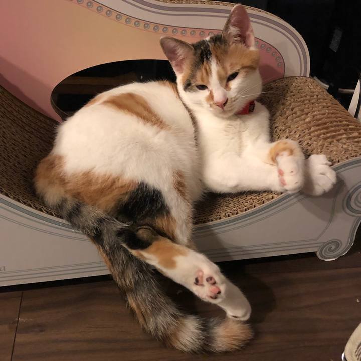 4b47cede d0fe 4514 aad1 1c214fa596a9 1569066789240