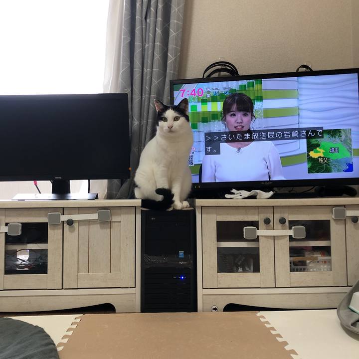 4b47ef20 84fa 4bb1 9427 bd897f770473 1595025676782