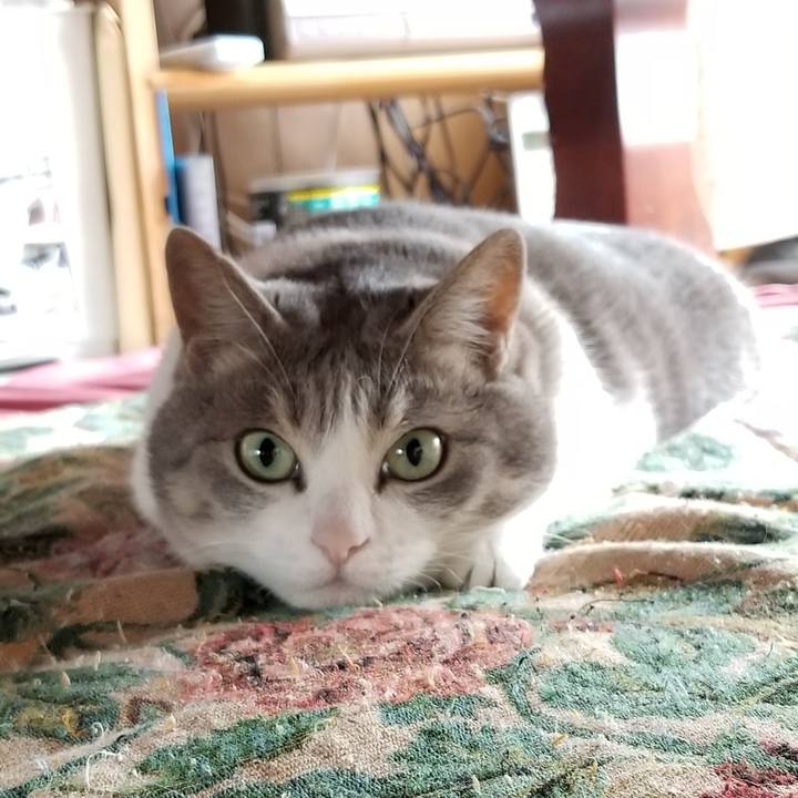 4b480084 2ba1 4fbd aa28 11c002a1b873 1591316810293