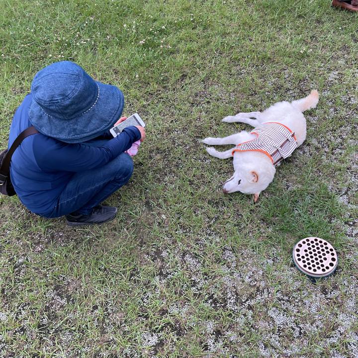 4b4800d7 0801 46fb 9f62 8d803dde0179 1657205482198