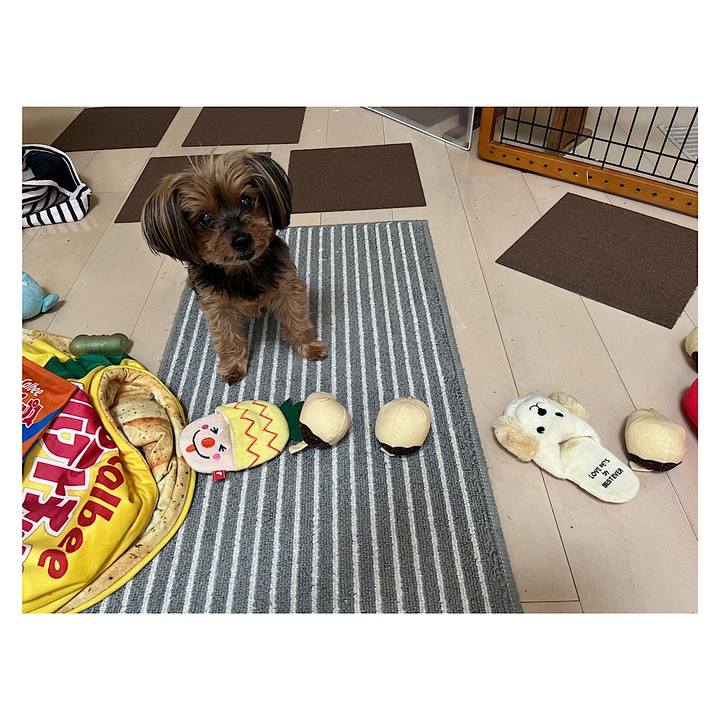 4b480c32 e4e6 4e37 ae55 27e1c61ee1bc 1715122909636