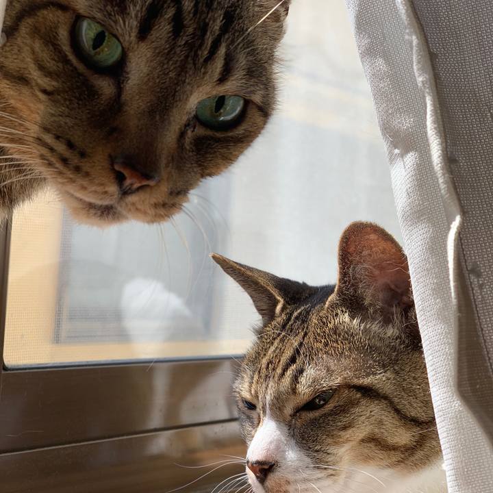 4b481981 b771 423a a17d a2d40f18ab85 1584754192303