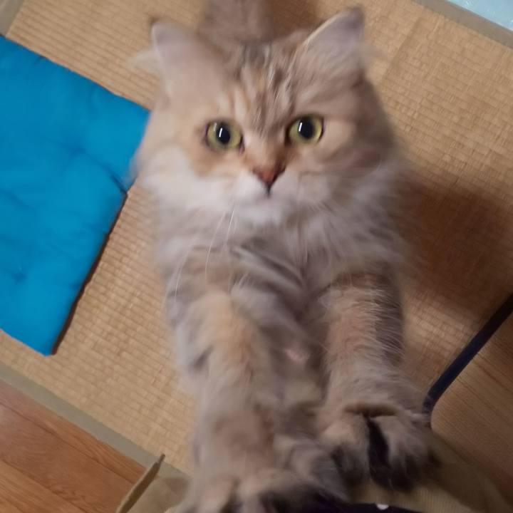 4b482c2e a9f7 44ac a4fc 9367e4bfcbcd 1629248942559