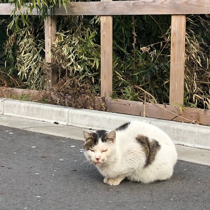 4b483acc 6964 46ee 8e50 cdbe3750b7d7 1519128023957