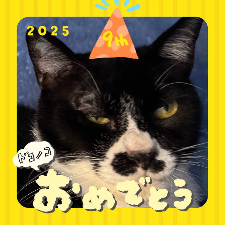 4b48732e 32f0 4981 92a9 2fd344d34158 1749096814288